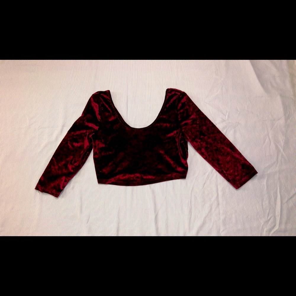 Gorgeous Crushed Velvet Crop Top